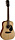 CORT AD810-12 NS