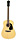 EPIPHONE DR-100 N