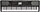 KORG HAVIAN 30