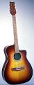 RENOME RD-50C