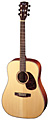 CORT EARTH 100 NS