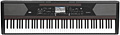 KORG HAVIAN 30