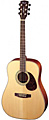 CORT EARTH 100F NS