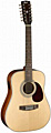 CORT EARTH 70-12E NS