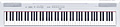 YAMAHA P-115WH