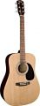 FENDER SQUIER SA-105 NT