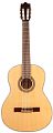 IBANEZ G100 NT