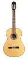 IBANEZ G200E NT