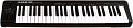 ALESIS Q49