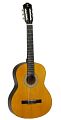 TANGLEWOOD DBT 44