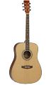 TANGLEWOOD DBT DLX D