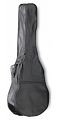 STAGG STB-1 C