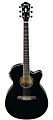 IBANEZ AEG10II BK