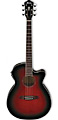 IBANEZ AEG10II TRS
