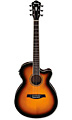 IBANEZ AEG10II VS