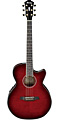 IBANEZ AEG24II THS