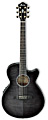 IBANEZ AEG24II TGB