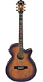IBANEZ AEG40II OAB