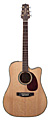 TAKAMINE EG340DLX