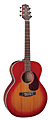 TAKAMINE EG430S VV