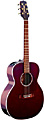 TAKAMINE EG430S WR