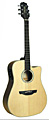 TAKAMINE EG510SC