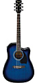 IBANEZ PF15ECE TBS