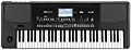 KORG PA300