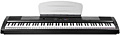 KURZWEIL MPS10