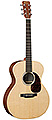 MARTIN GPX1AE