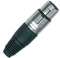 PROEL XLR3MV
