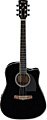 IBANEZ PF15ECE BK