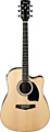 IBANEZ PF15ECE NT