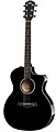 TAYLOR 214CE BLK DLX