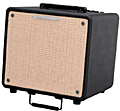 IBANEZ T15