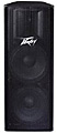 PEAVEY PV 215