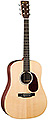 MARTIN DX1AE