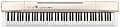 CASIO PX-160GD