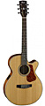 CORT L100F NS