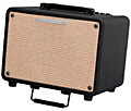 IBANEZ T30