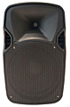 SOUNDKING SKA12T