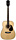 CORT AD880 NS