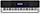 CASIO WK-240