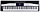 KURZWEIL KA-110
