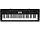 CASIO CTK-3200