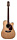 TAKAMINE EG340DLX