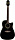 TAKAMINE EG531SSC
