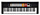 YAMAHA PSR-F50