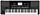 KORG PA300