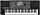 KORG PA600 QT